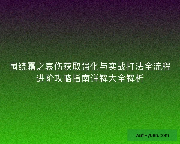 围绕霜之哀伤获取强化与实战打法全流程进阶攻略指南详解大全解析